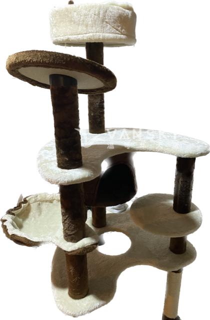 251021192303_thumbnail_image 2.png